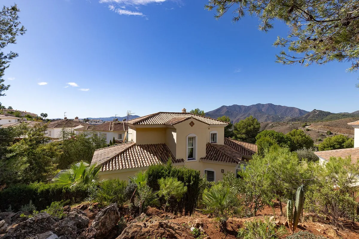 1b56cd62-da9a-47d8-85d9-53c91b102eca