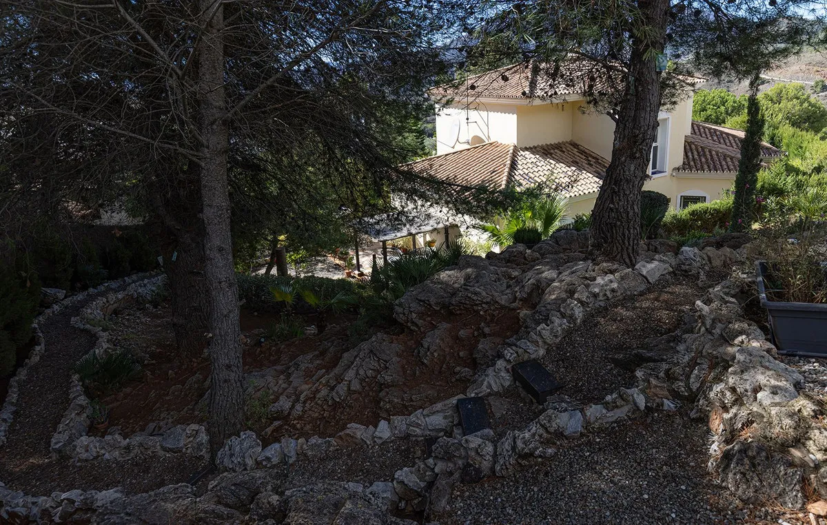 b2f6e997-f02d-430c-a4cd-5b6c0f9b481f