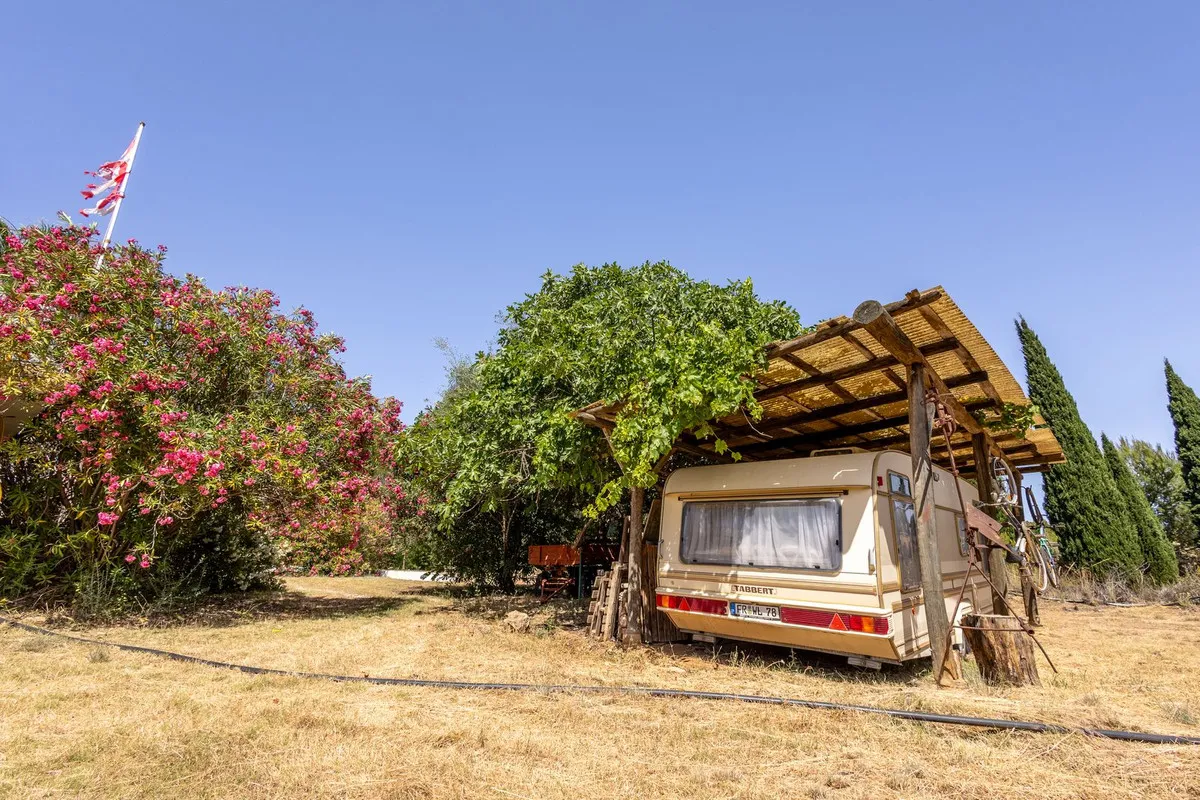 9f59e915-8b03-4aa2-9628-39ed104c18c4