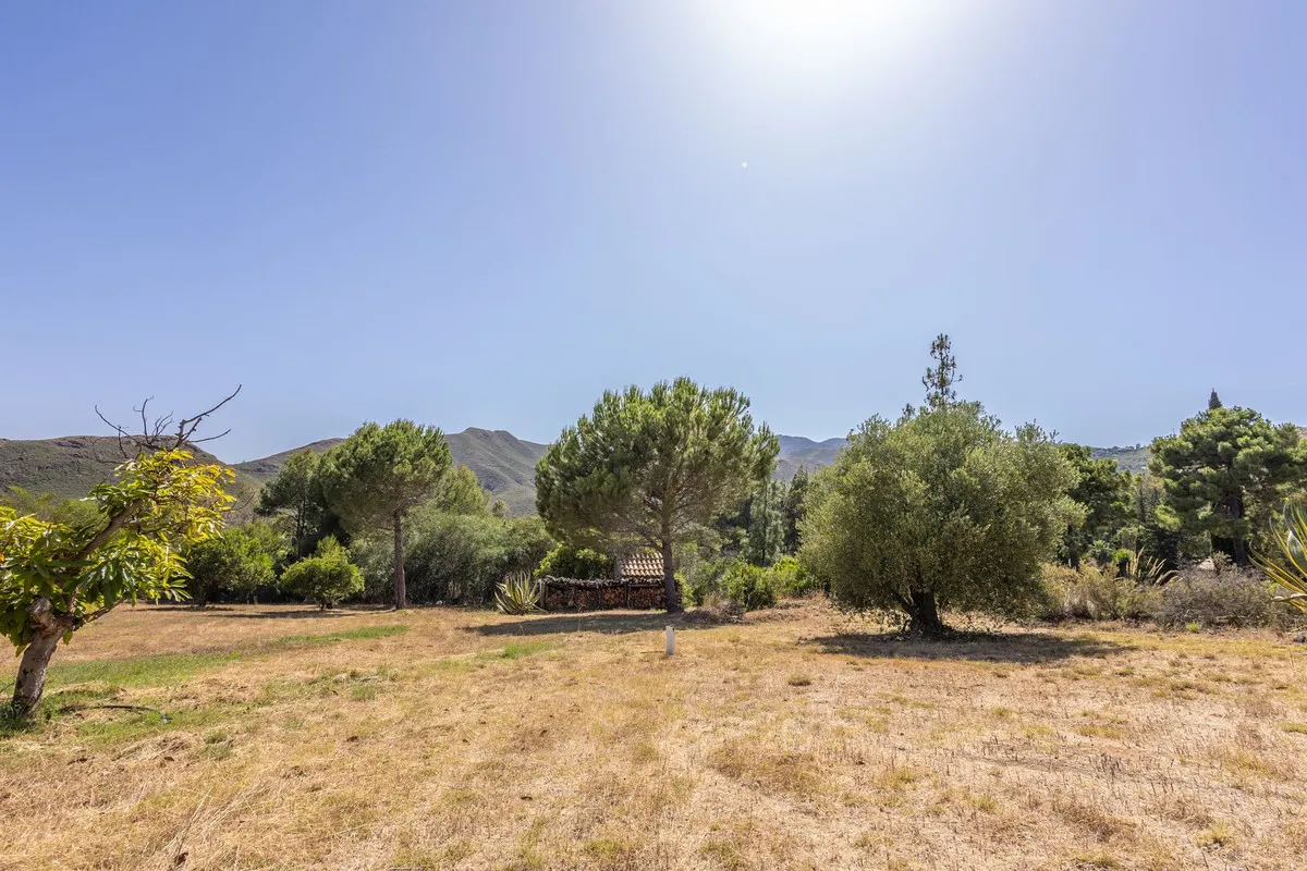 c0040d3d-c7e3-4b48-9b95-3e14eca09d4f