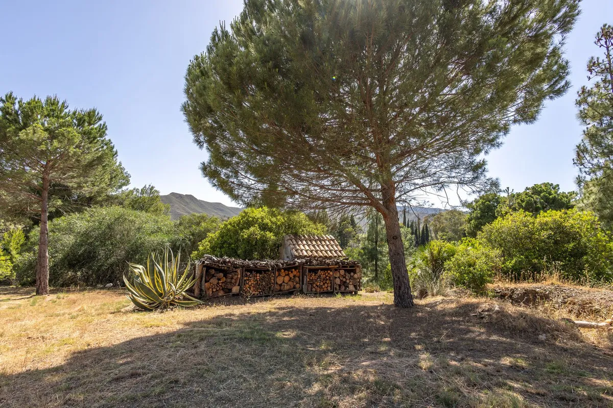 dc072d73-3280-4f23-a8ed-b5bcf0305630