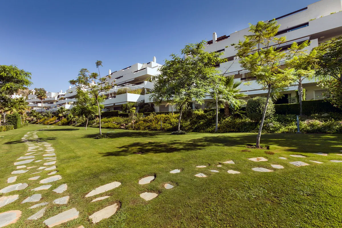 97d8e96b-3b66-4de5-a897-96a40b1514d5