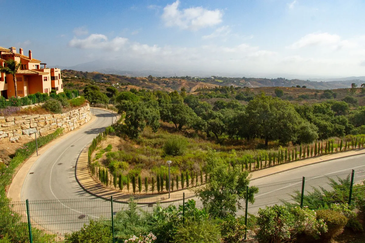 46e3f83e-cabe-4d18-a2ec-5c69ed4e2165