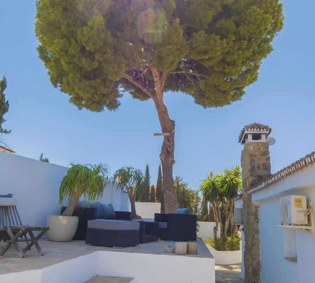 09b26bb3-7614-418f-8829-2c396d76644a