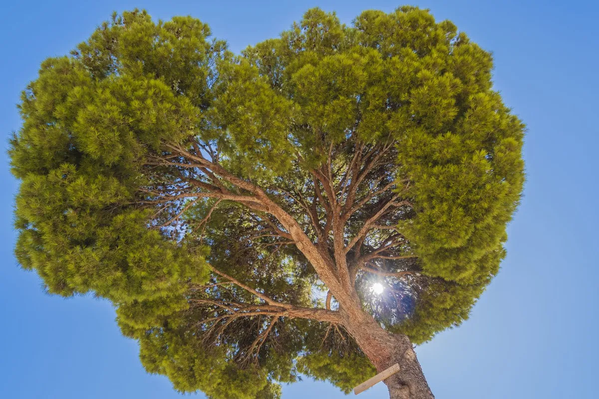 55191a72-6cd3-4a20-8f70-68cbdd39dfad