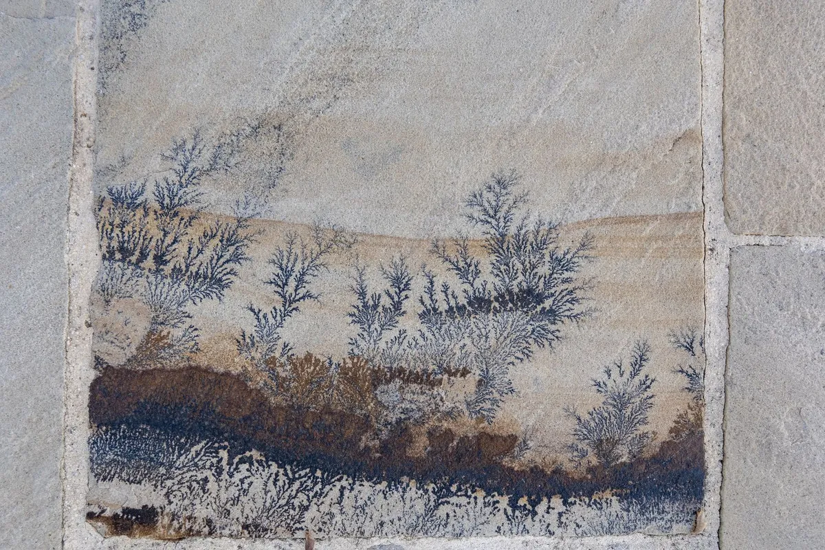 663e463d-5af1-45e9-a454-a689fcceade6