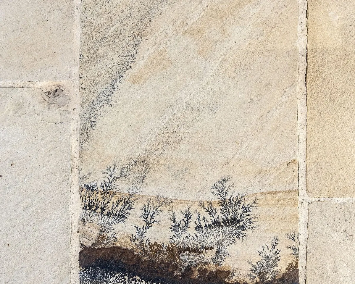 984eb059-fc29-45ba-b8bb-329a0159e4de