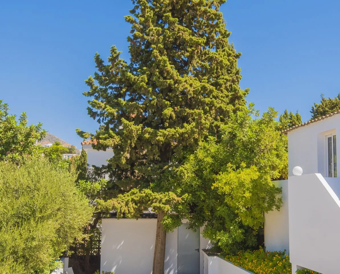 a0b0aea5-53af-44b9-85f3-c301b4a50565