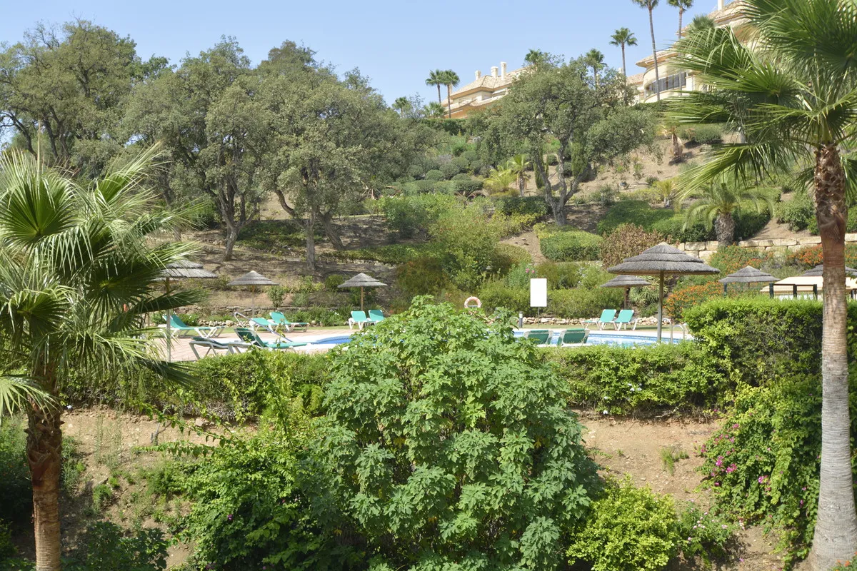 2c249e3f-c89b-4f74-9939-c792b48f80d7