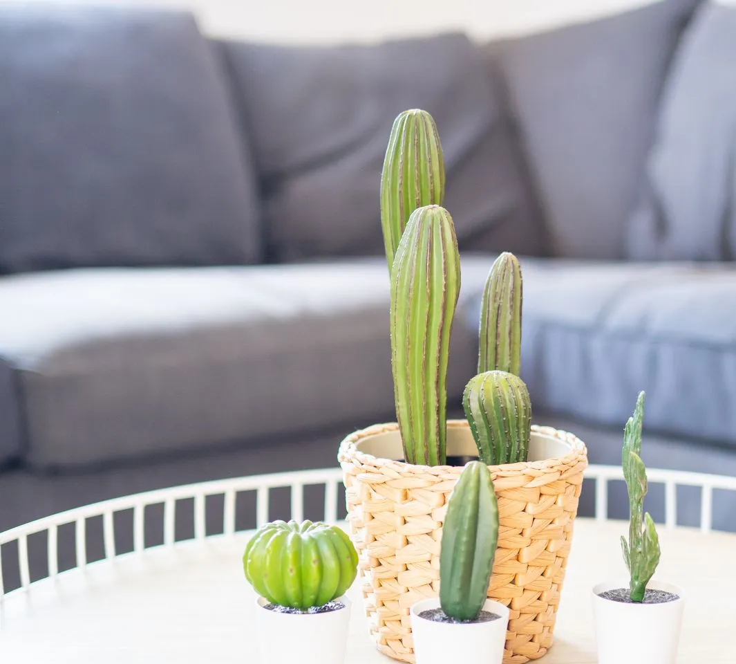 29f9d42a-59e1-4997-a057-9f6f5ece55b3