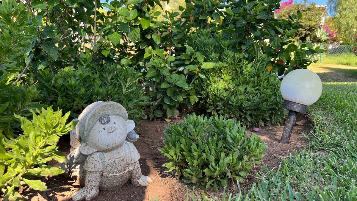 050e7cdb-0f99-4e36-9931-10c325cde8a4