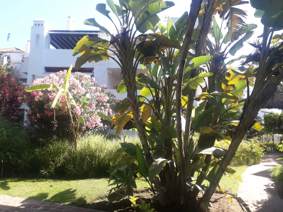 a9261d62-3c22-4cdd-90b9-901bea81b7f6