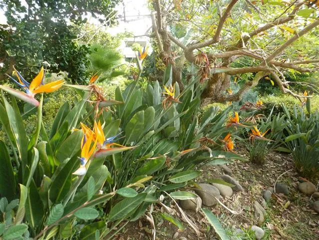 b8f2bf4c-606e-4ac6-abdd-8d62dbace2cf