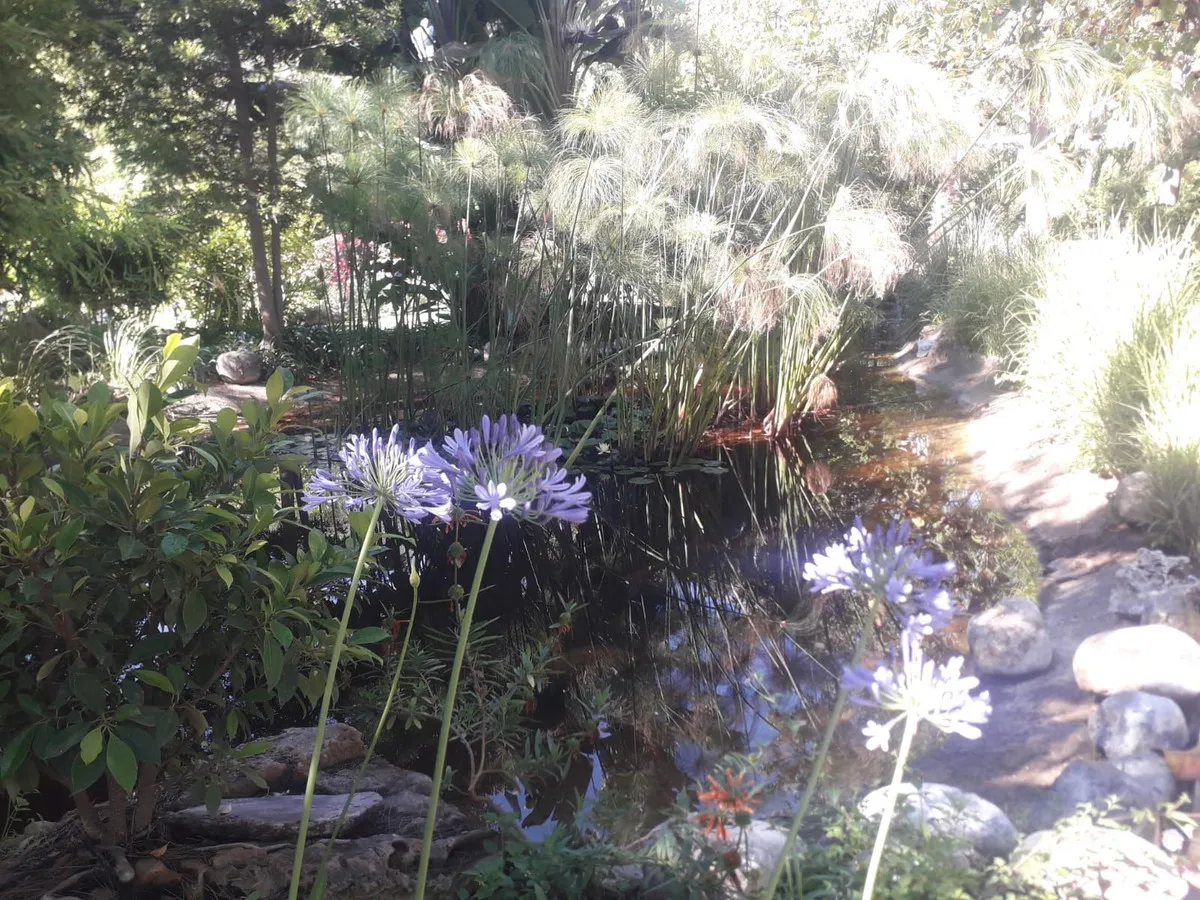 e2e948cb-eab6-498e-98b2-d42b2e216d04