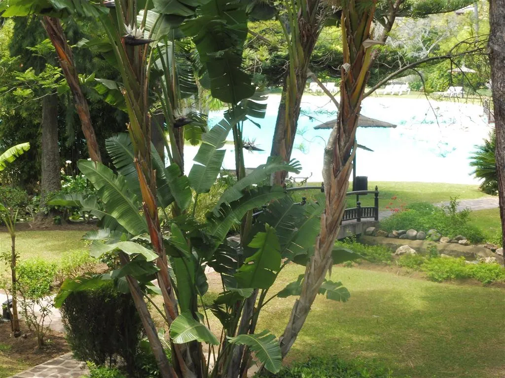 fa35ef8c-3fd0-4284-878c-746a3efe92f4