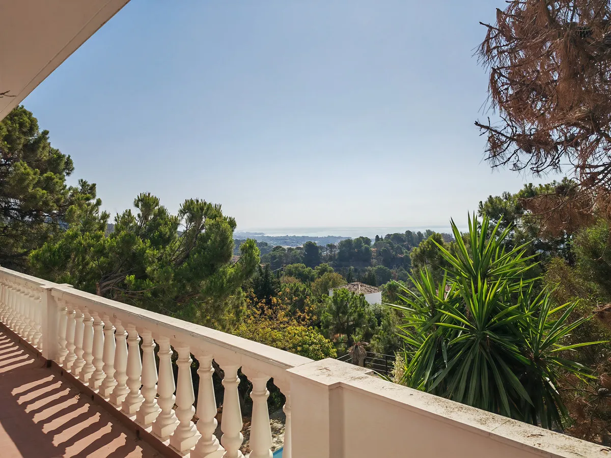 24c7638a-7435-4629-8a19-a6f3dca66744