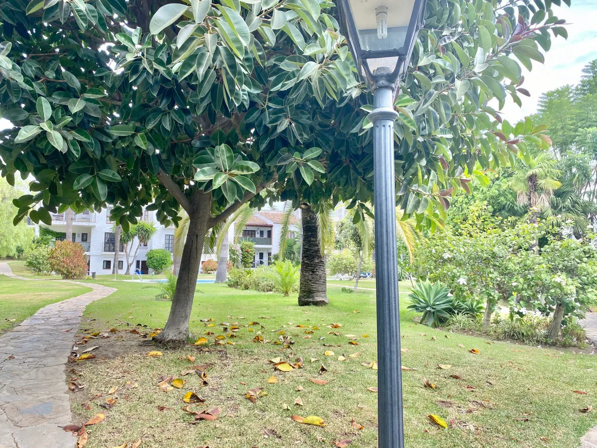 b81facb4-14d9-4826-b48e-e096d3fc7f74