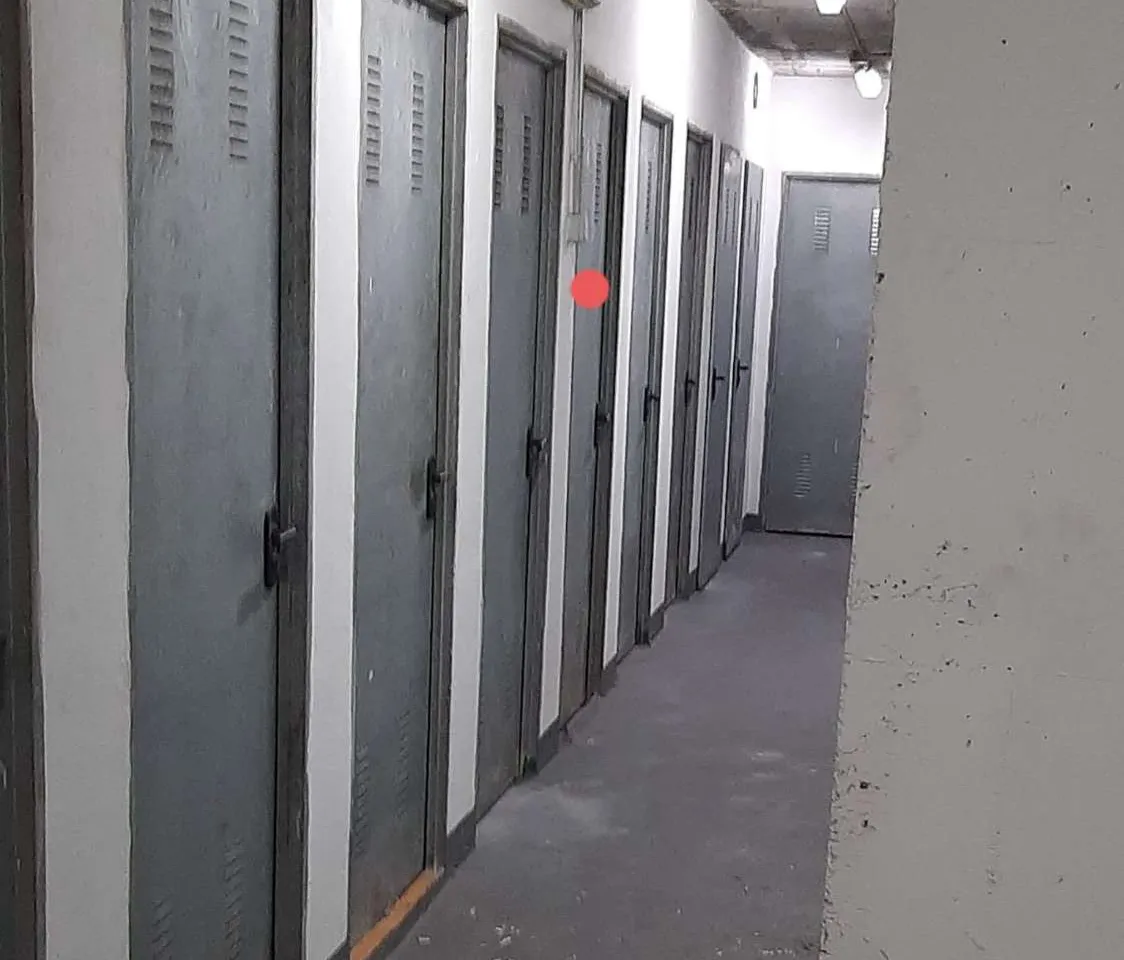 c3e05004-aadd-41c3-8d91-b346e1193a3c