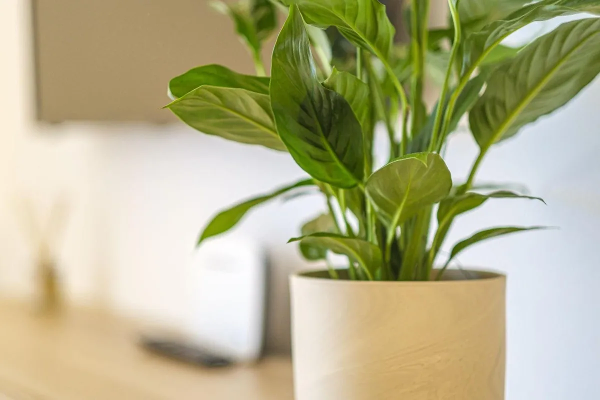 ca504bf6-7588-48cd-8778-7191e39843b0