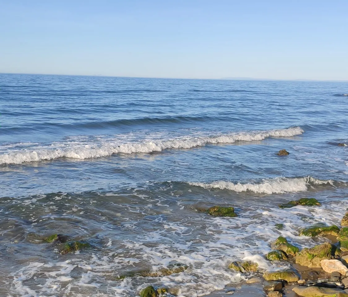 29eaeb7b-aa9c-4c32-80f6-b8a1f10c4a10