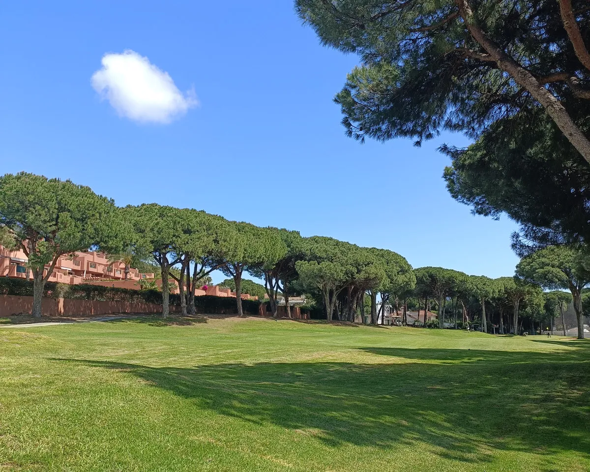 de4c97b0-0fa5-45c7-9056-c7ba7d7d8f41