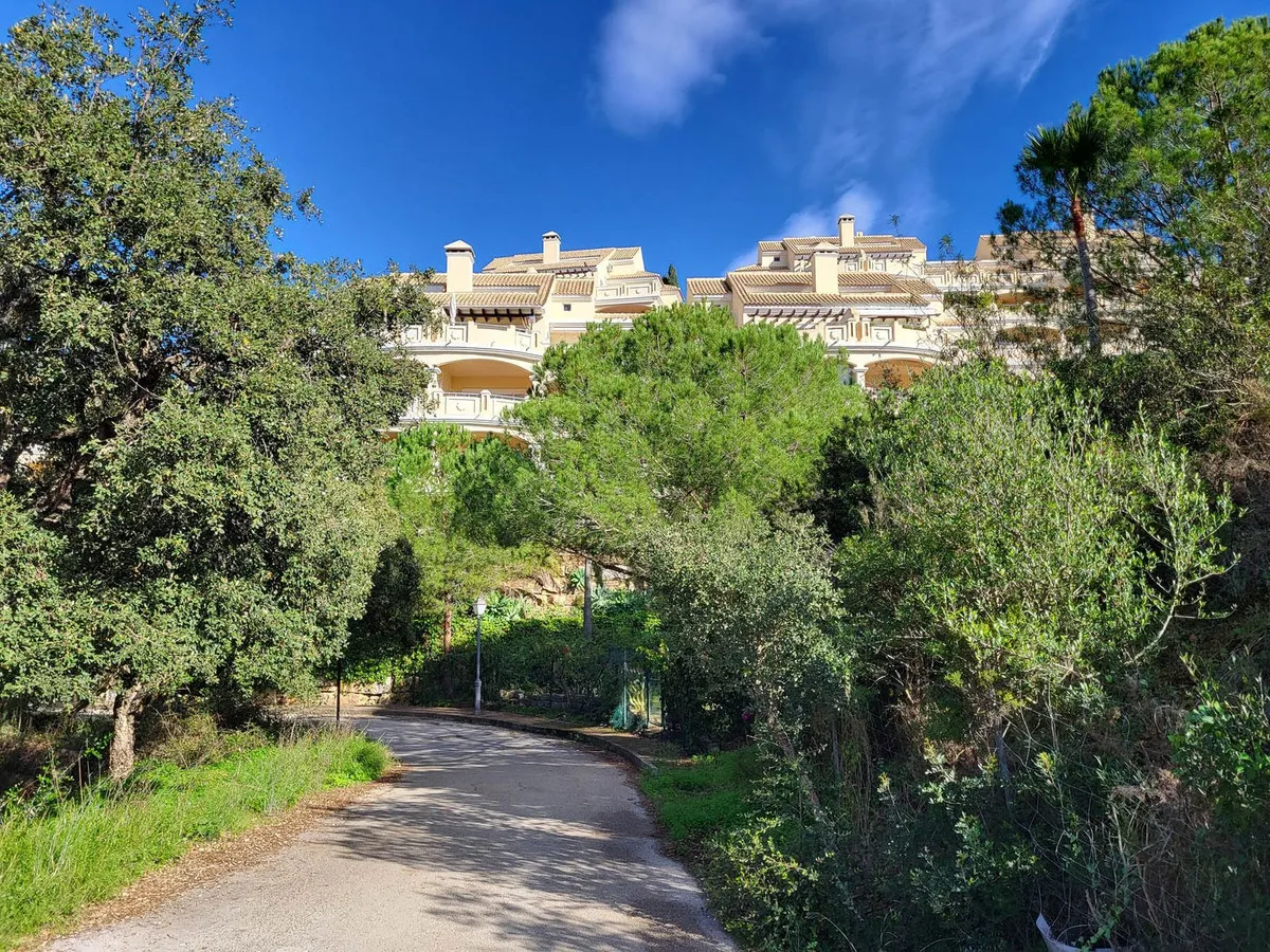 9946f0aa-dc16-4e2b-a9cc-2ef1c24f1a0d