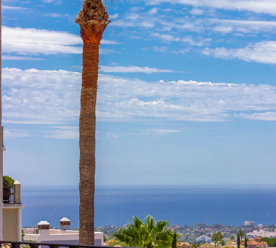 9d37a76d-174d-44fa-802b-db47ecdf74d8