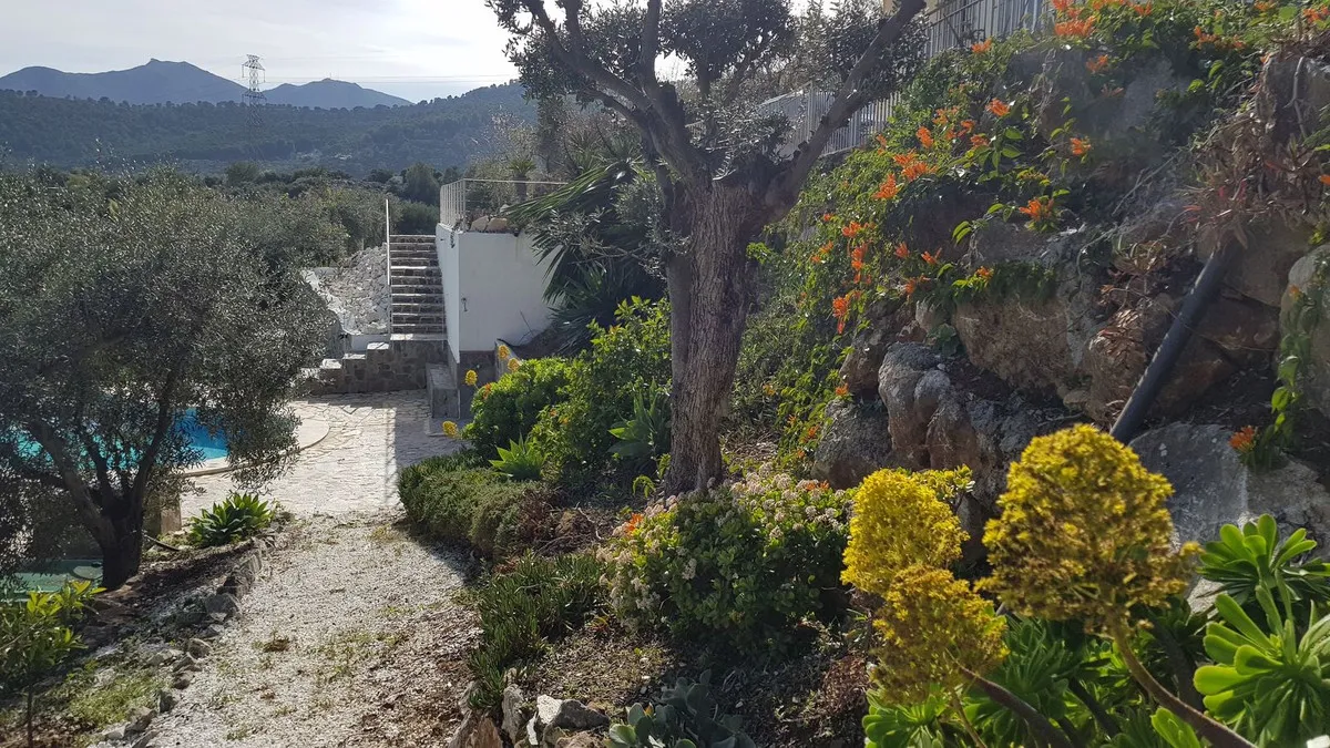 9c43cc5c-2156-48ca-b9dd-bb15b5017b5a