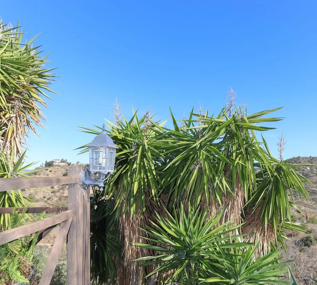 69d2b51c-0d90-414e-a7f5-6fa78016f872