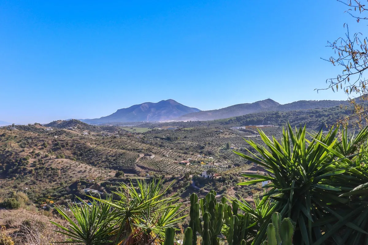 97f7982b-f3ee-47f4-b9bc-3979016d5e73