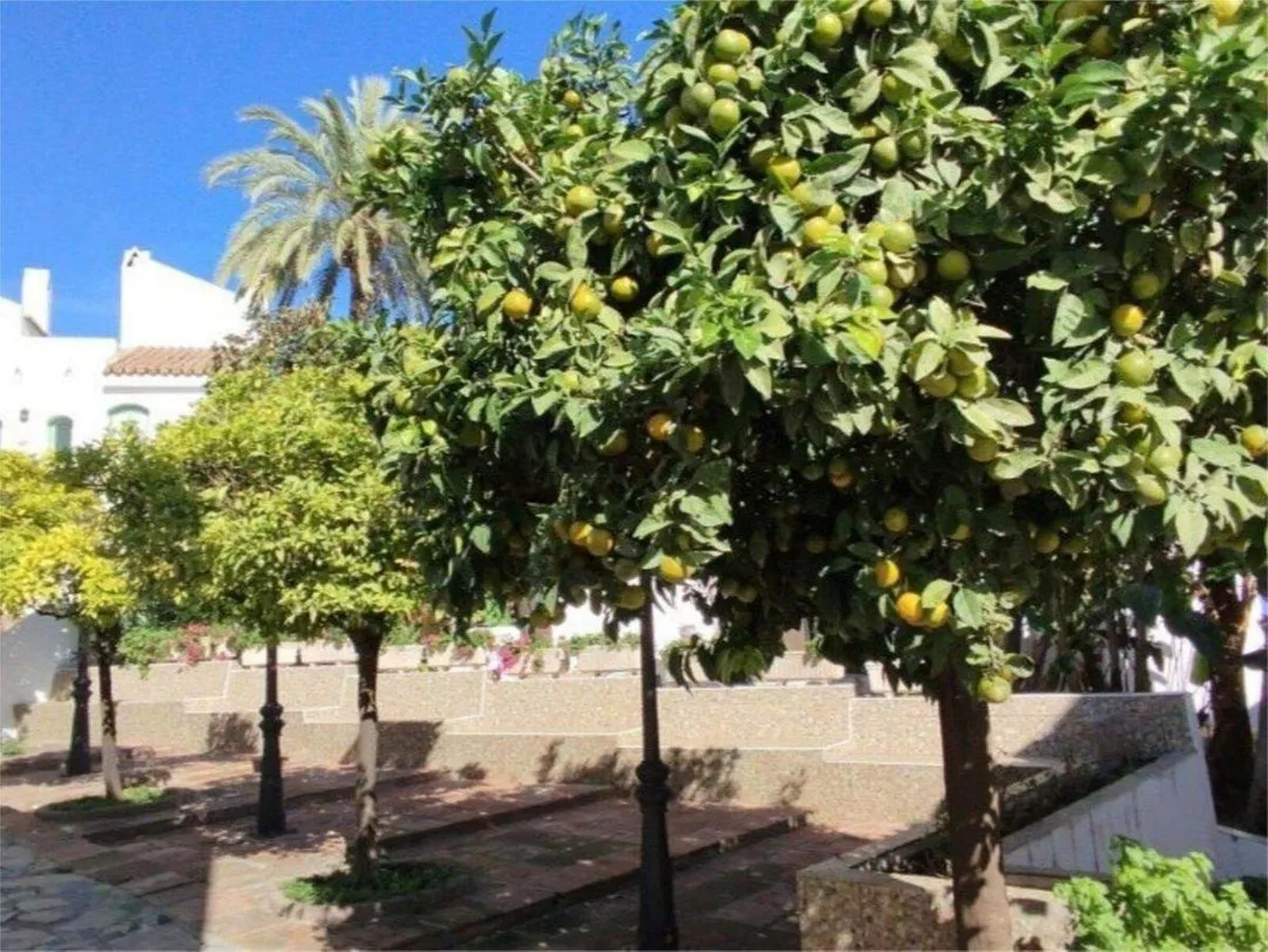 272ca10b-ed35-4b66-81b3-816b55018a57