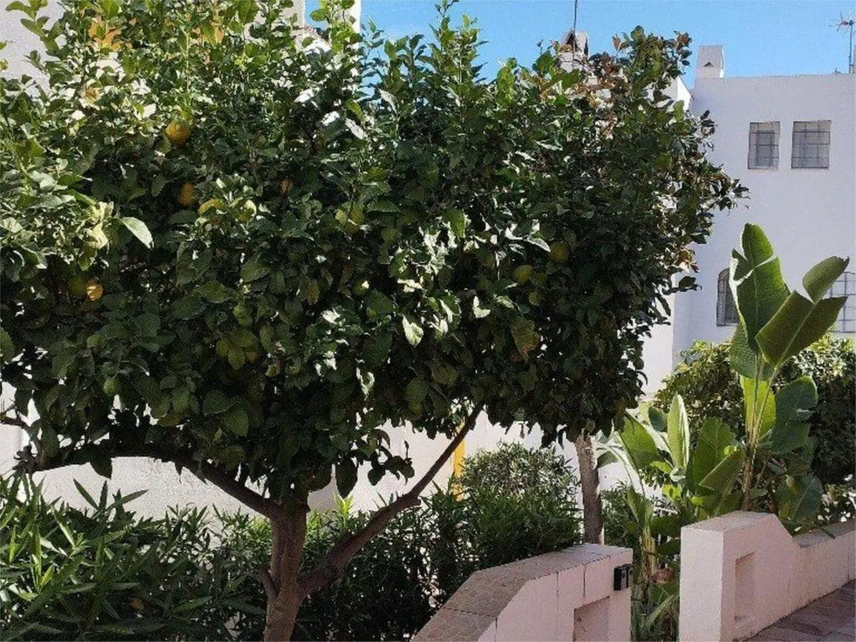 acd4c1e4-743a-4d8a-a1f9-8fcd002e9de8