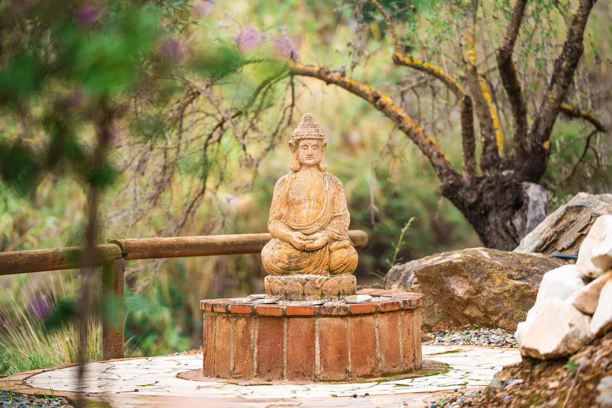 ba56be42-5922-4848-a492-3bb24029d150