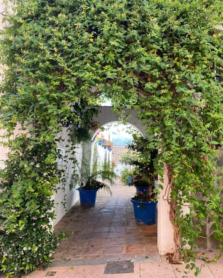 1760c3c5-16db-4547-af38-96f76633ea05