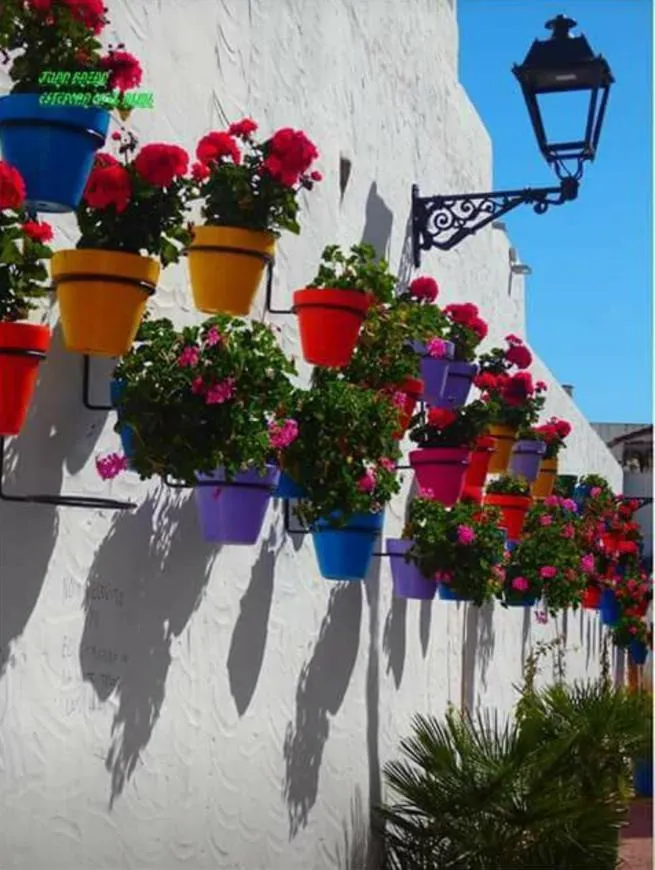 176bab62-5ece-4e1c-b236-64b24c99d7e6