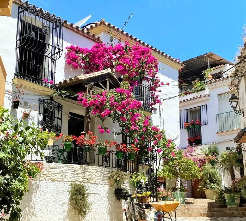 47728c8a-c897-4507-902e-17fe3f2c92cd