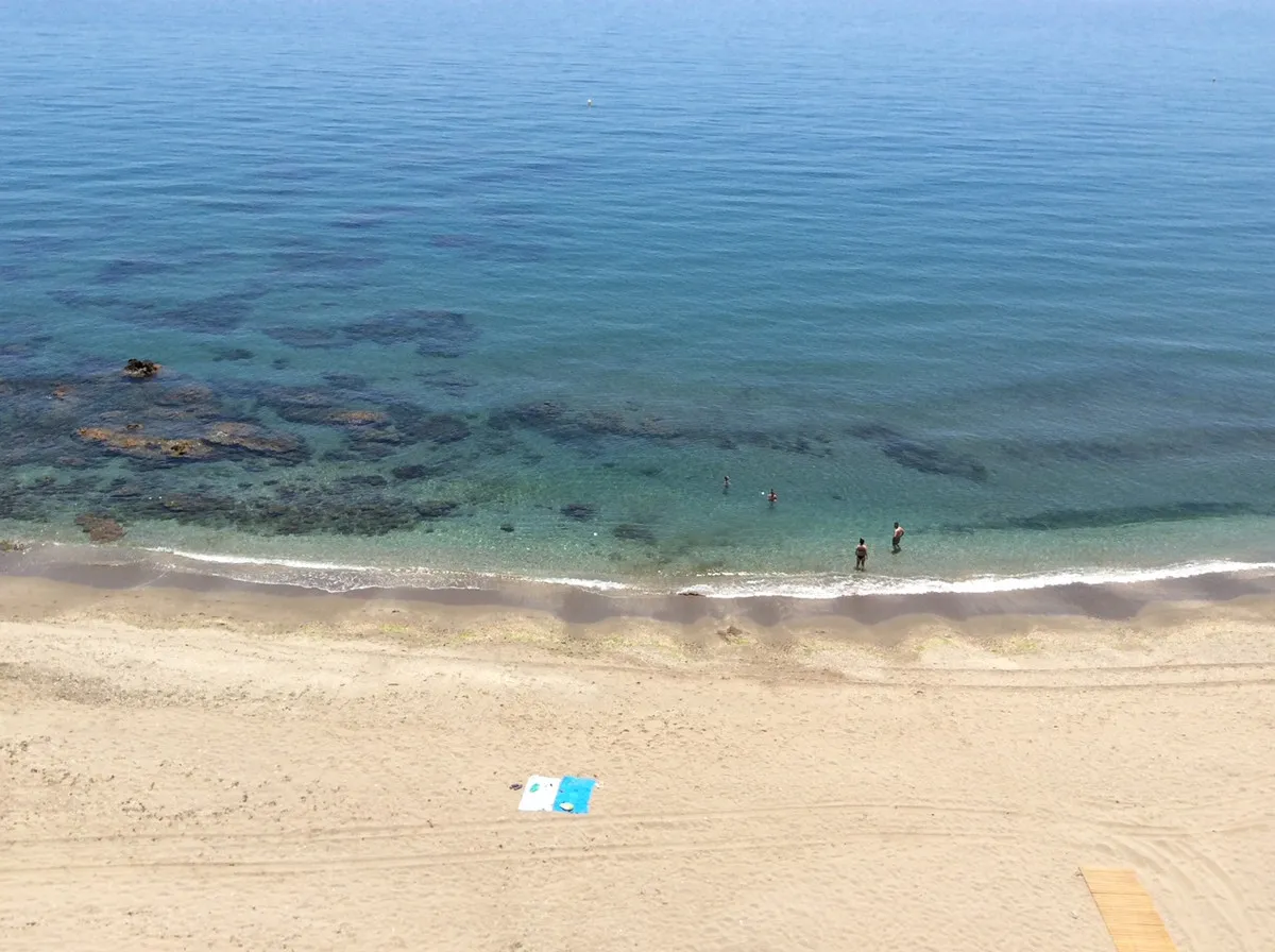 8f00e13e-3abd-45e2-b2b4-b0bb1e53f9bc