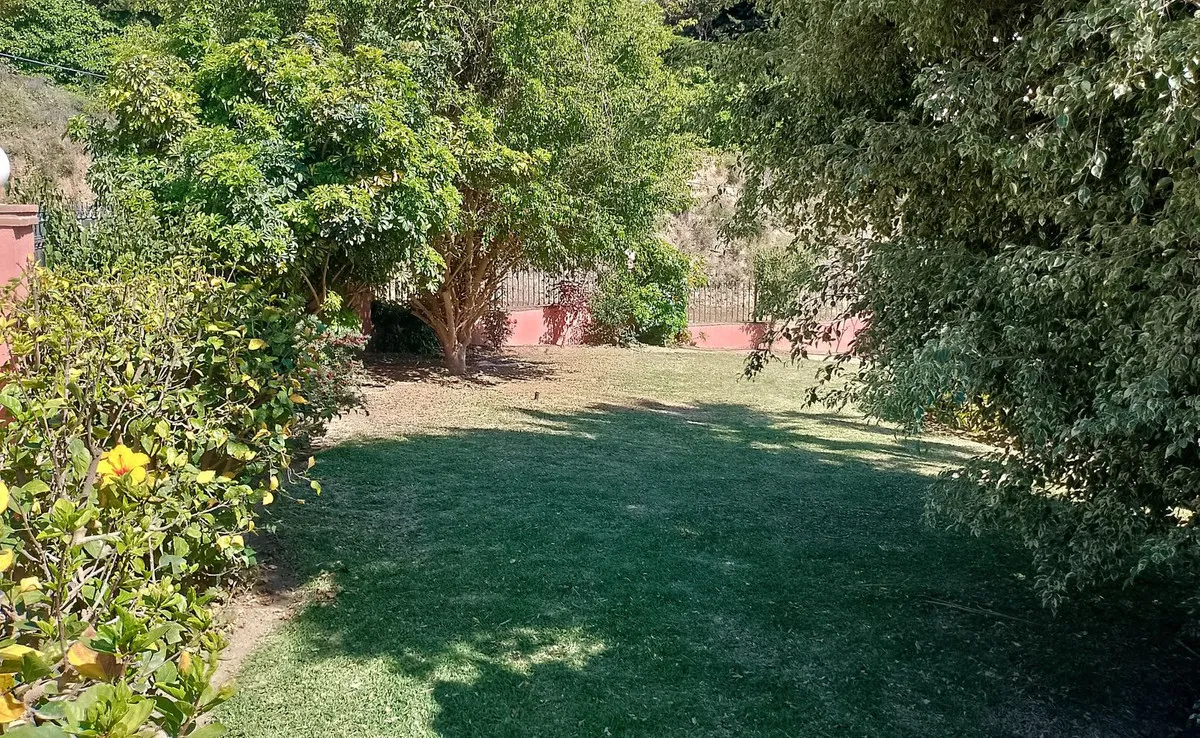 7ff61c2a-cd5d-45f0-bebd-b54365d98388