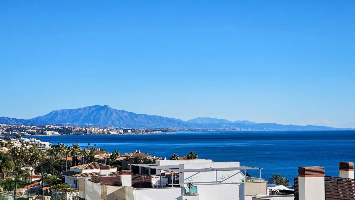 00d17a24-7dad-45a3-af47-f1cea7988a10