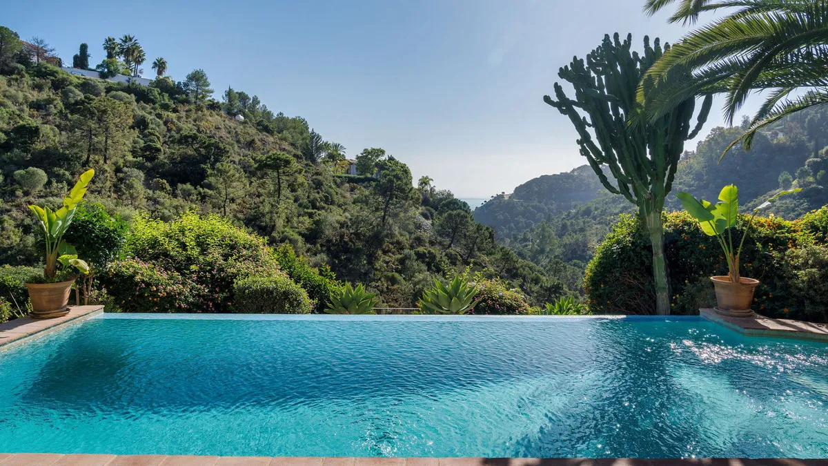 08d11d15-4263-4cf6-8913-adab868d3ef6