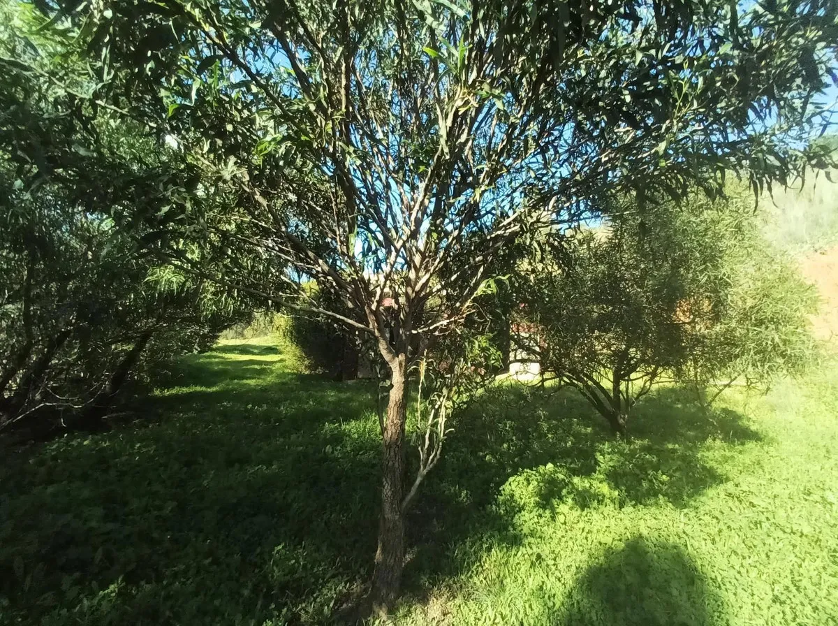 303eb0bd-6878-46c7-8f51-845f8774820a