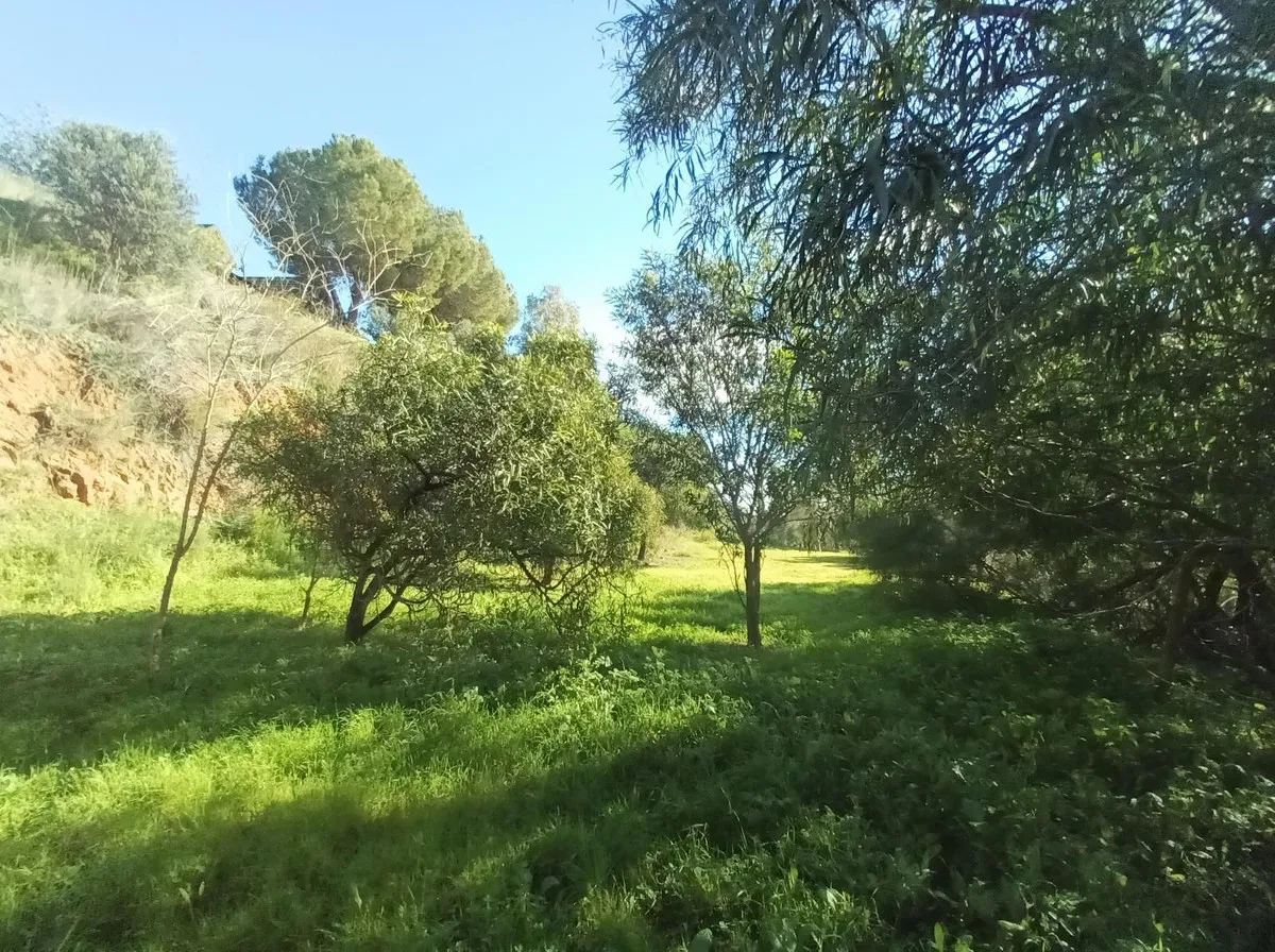 36172d0c-86b5-4ab9-8482-6cc7590d1d1a