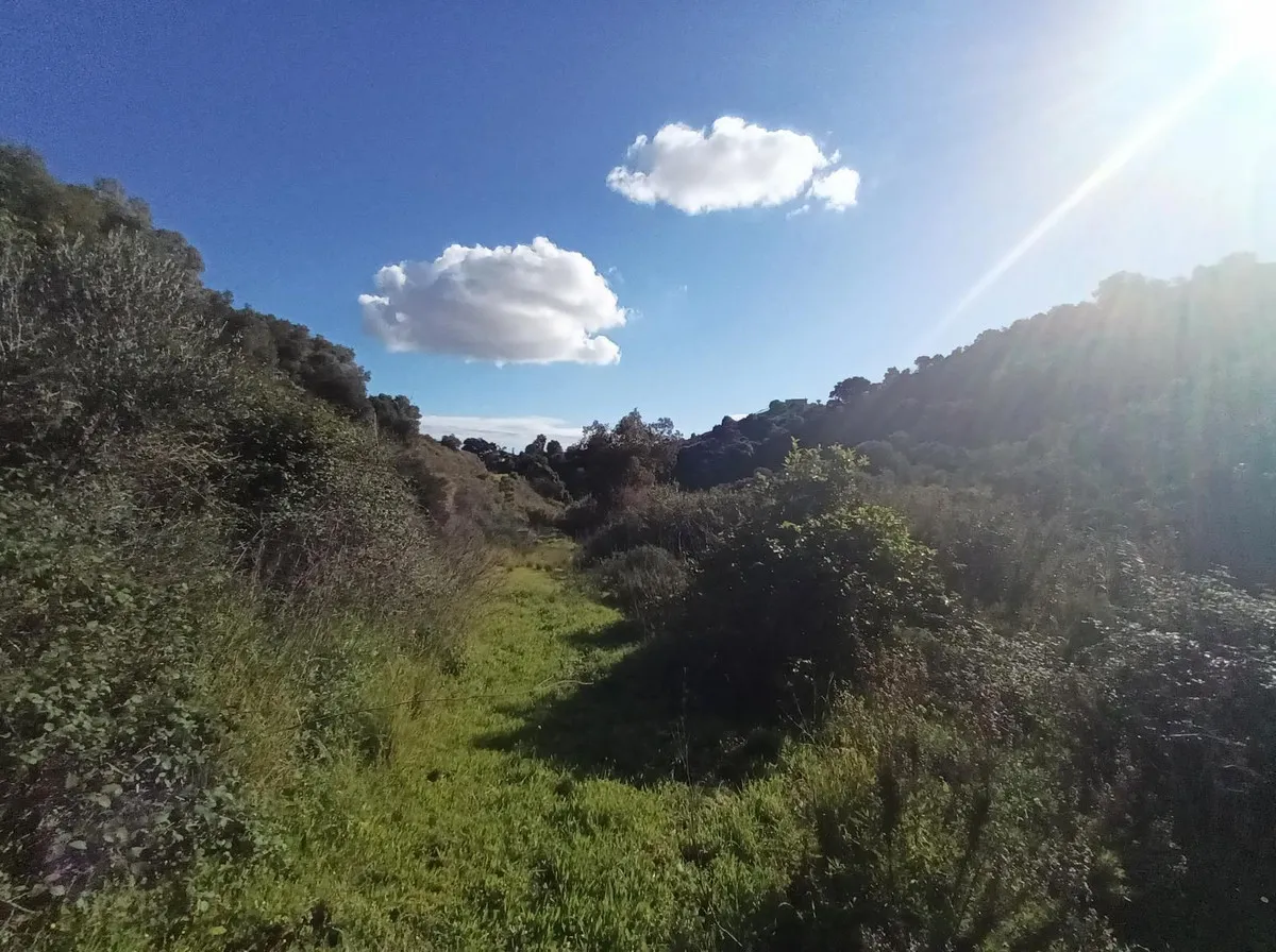 4999141c-0acf-40b5-a51c-c48f87824eaa