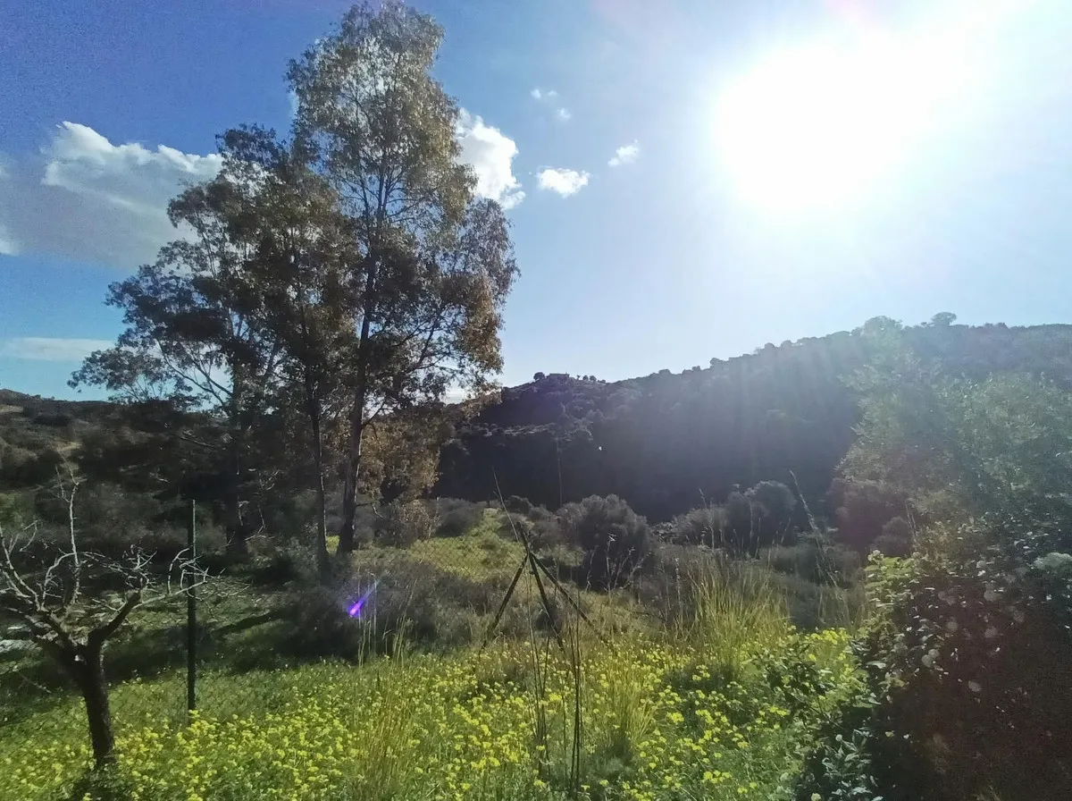 7d081c33-29ce-4fff-8220-d1a91d0fa031