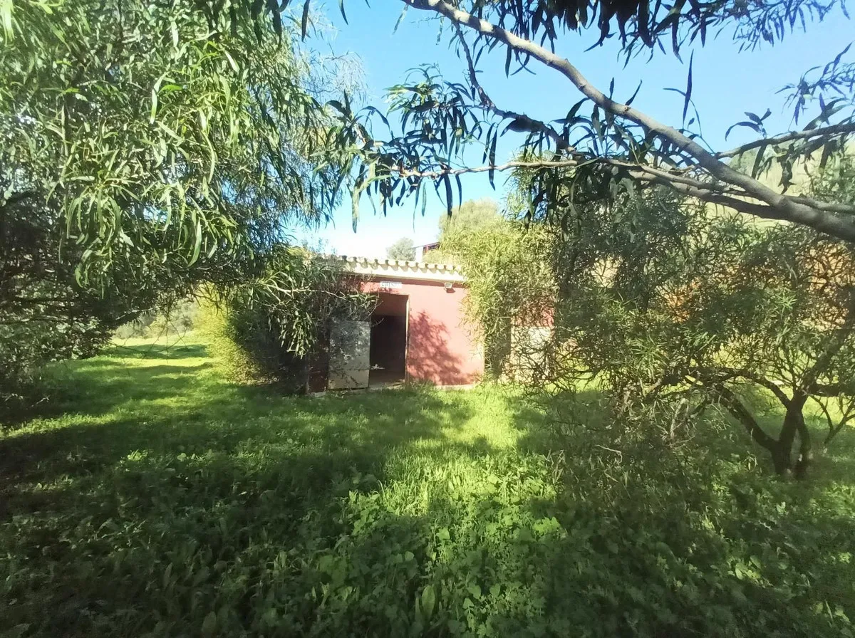 8a383d19-dd70-4a92-bd41-9b87418a703e