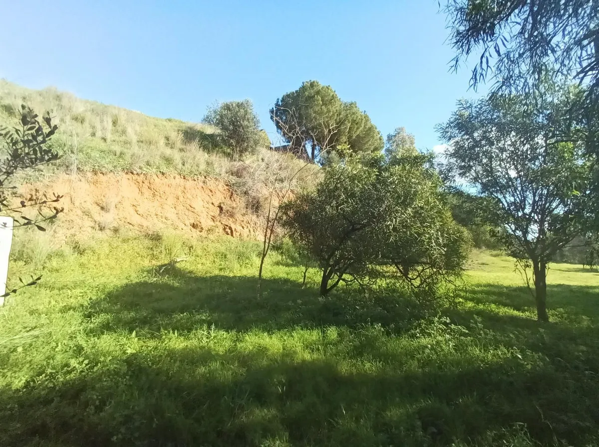 ad63217f-c399-4f39-8b00-ccf69d63659b