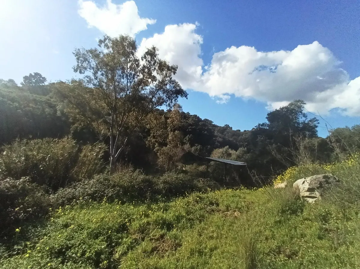 b7c261ea-2d4c-46b9-8a82-69d57e8cb022