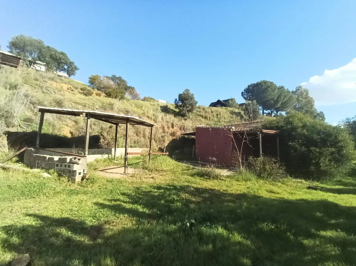 c3dd2d81-f396-48da-b5e2-c207c97f8069