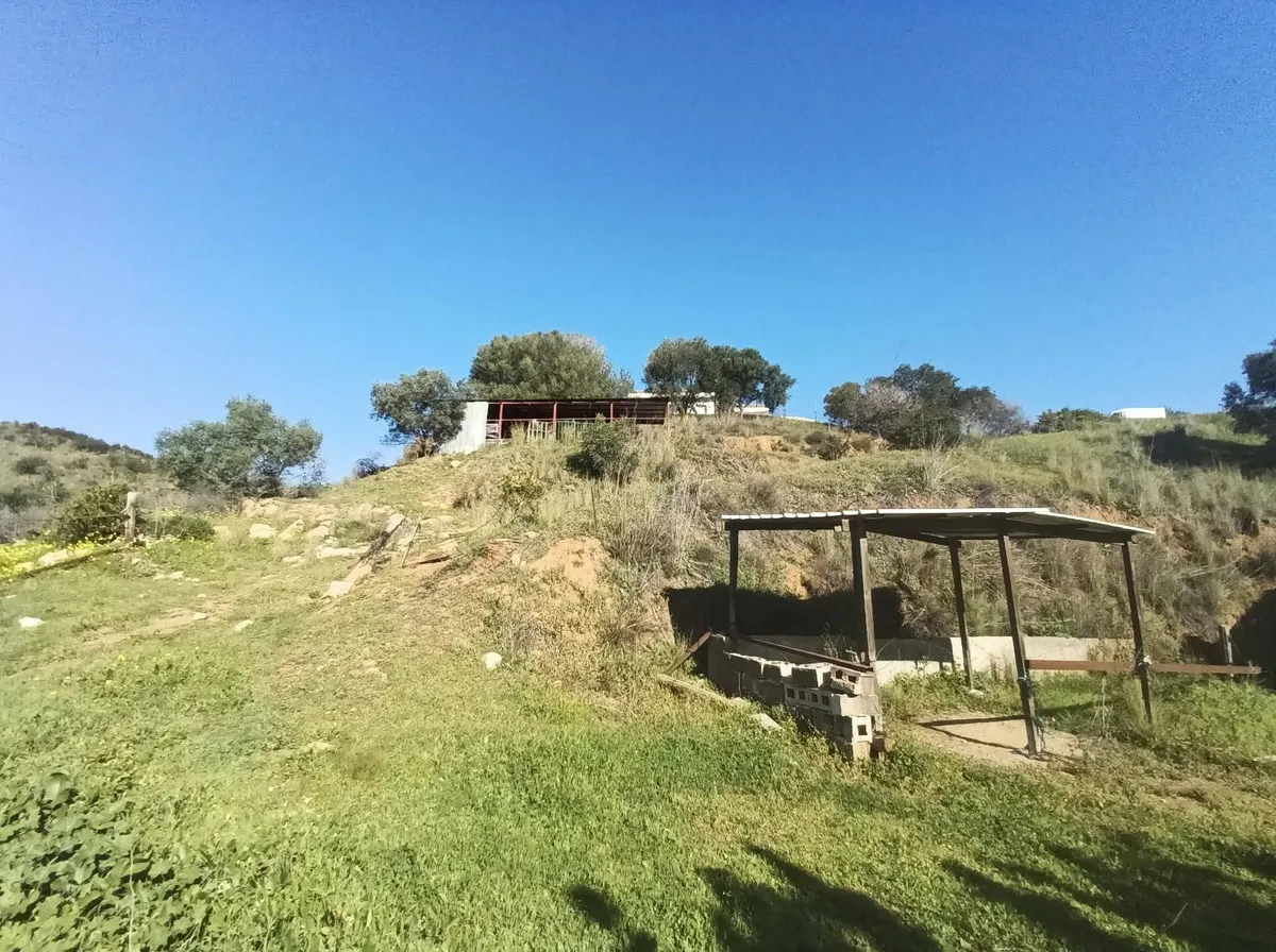 c521e238-586c-46dd-a1ec-354bfb3e0747