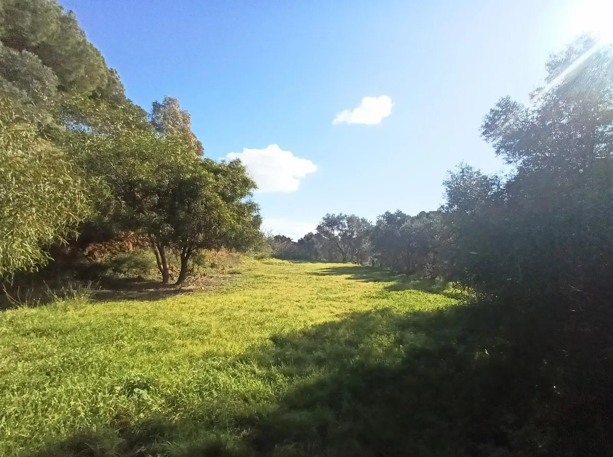 d515dba4-71f5-4dce-84f7-8b027e1db5ae